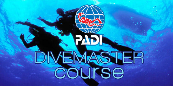 DIVEMASTER INTERNSHIP Featured Image