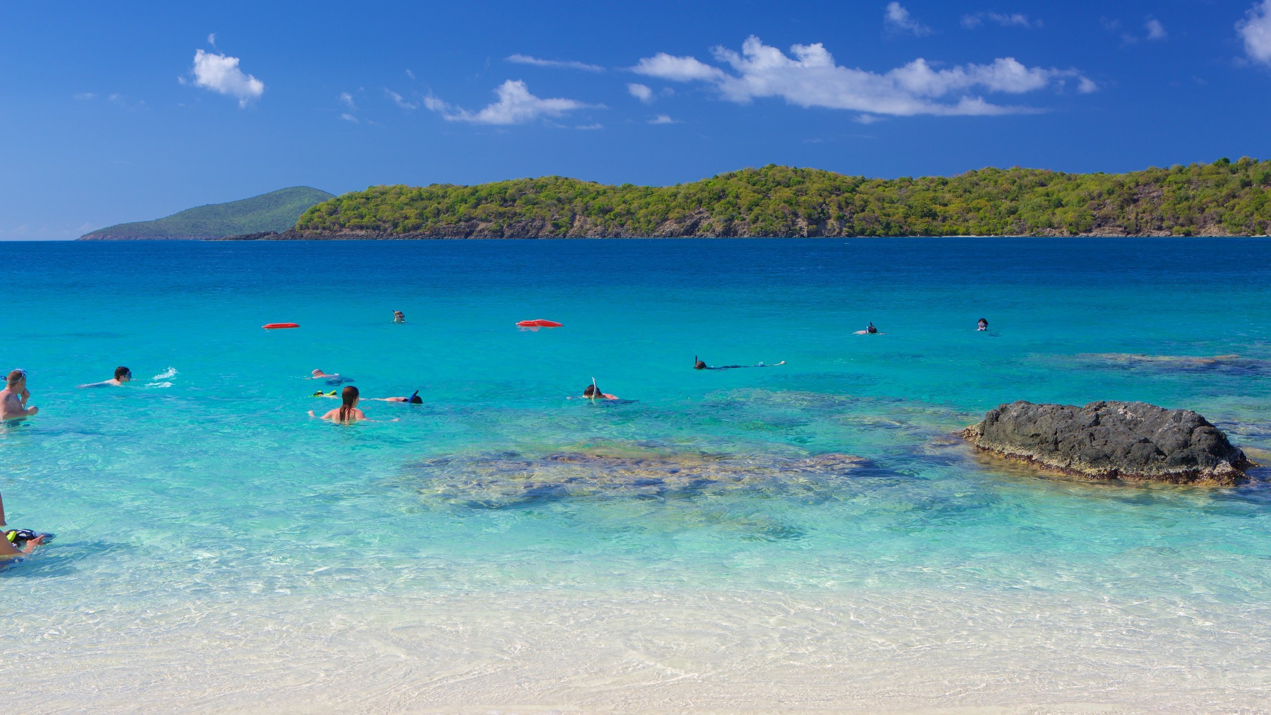 COKI POINT BEACH (ST. THOMAS)