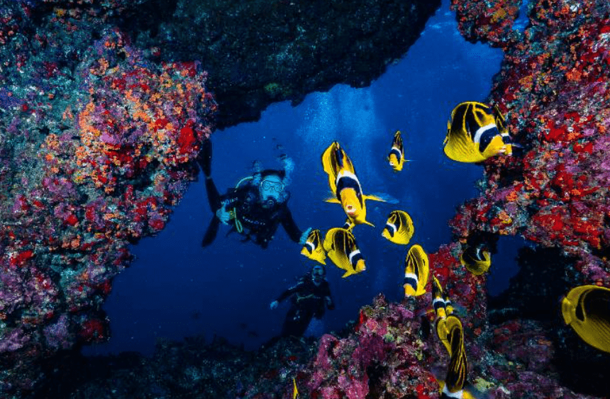 Cathedrals, Lanai