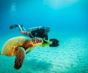 Dive Kauai 3