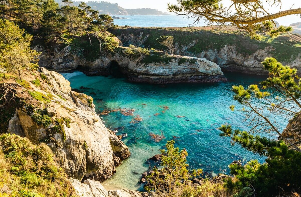 Point Lobos State Natural Reserve