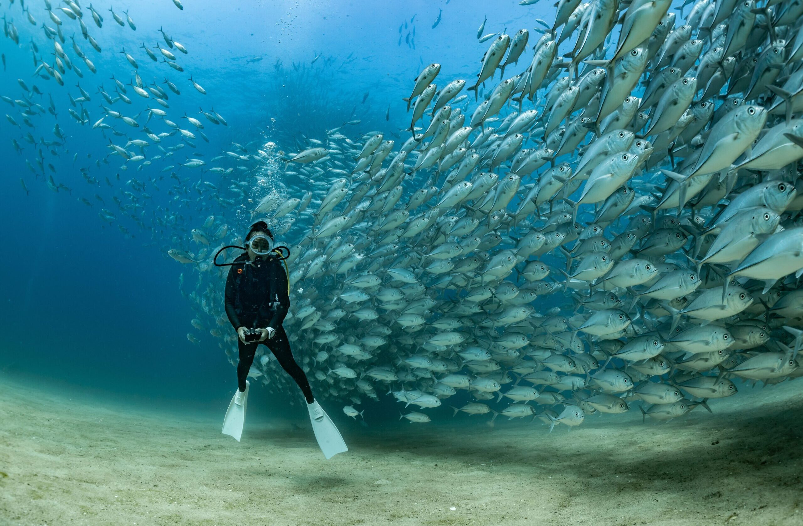 Cabo Pulmo, Baja California