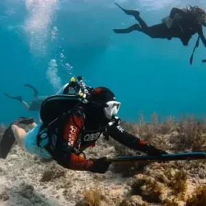 Florida Keys Dive Center 5