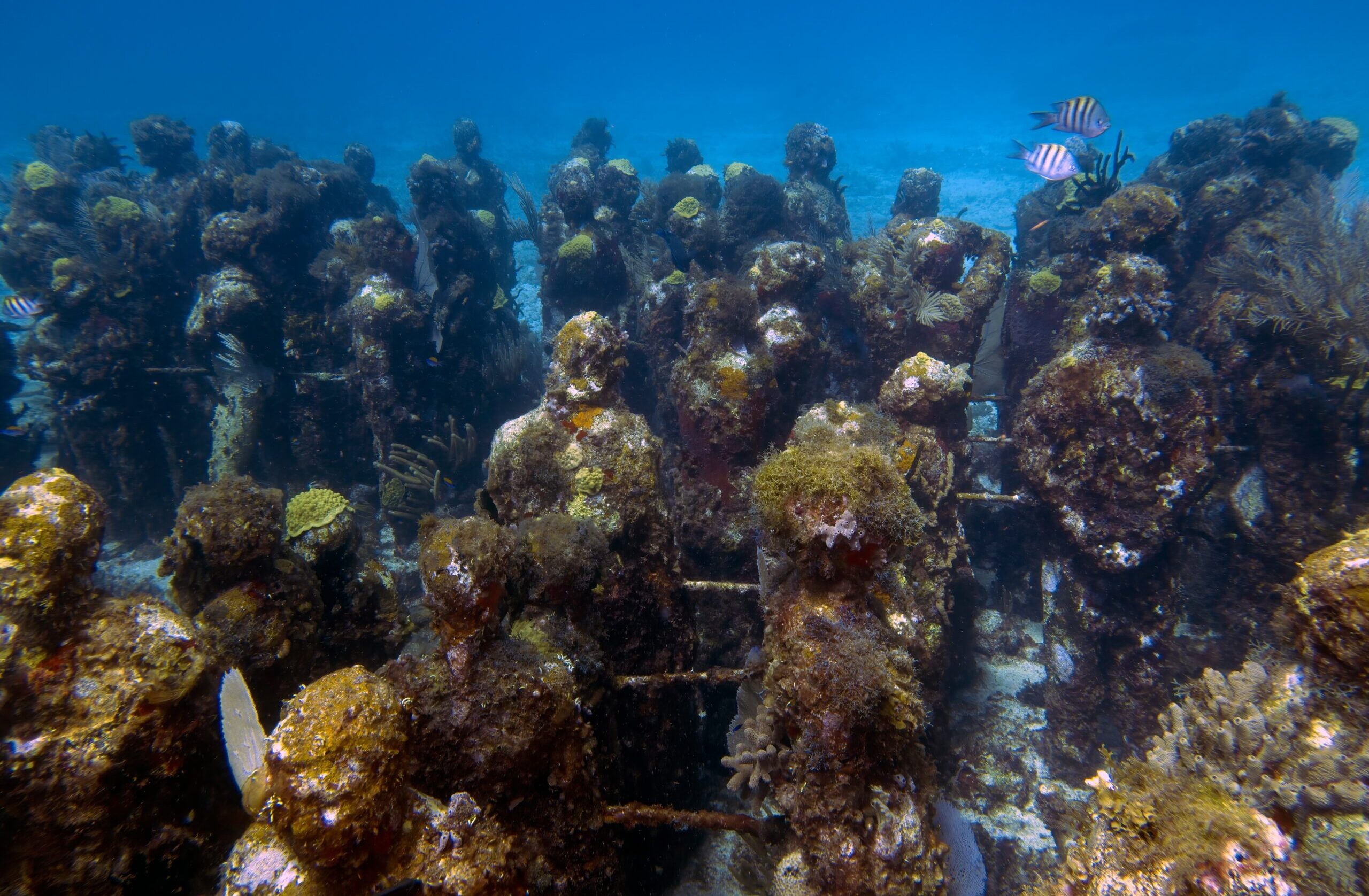 Isla Mujeres, MUSA (Museo Subacuático de Arte)