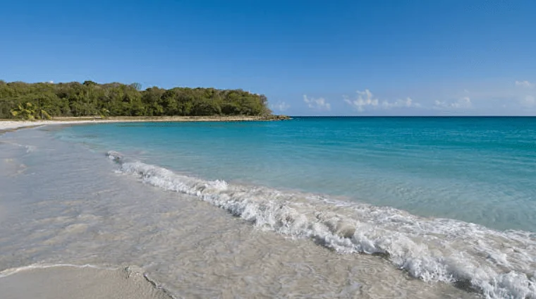 VIEQUES SCUBA DIVING